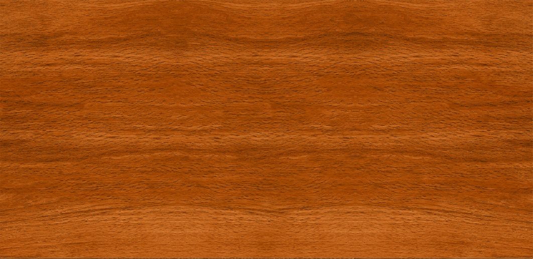 TIGER WOOD
